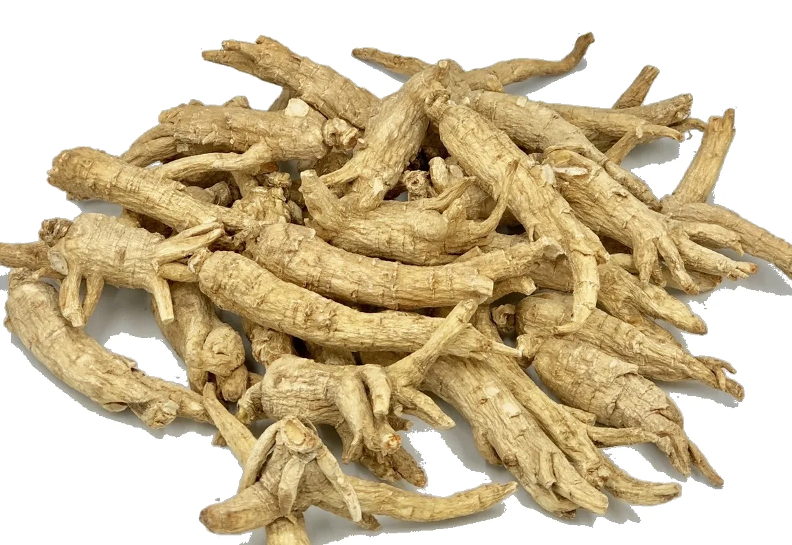 Nhân sâm nguyên củ loại Premium